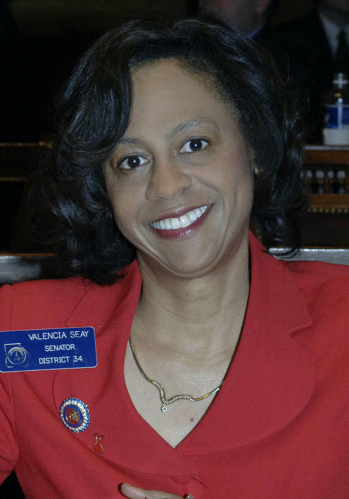 Valencia Seay__00am Valencia Seay, Willoughby Avenue, The Five Fifths, KOLUMN Magazine, KOLUMN, African American Politics, Black in Politics