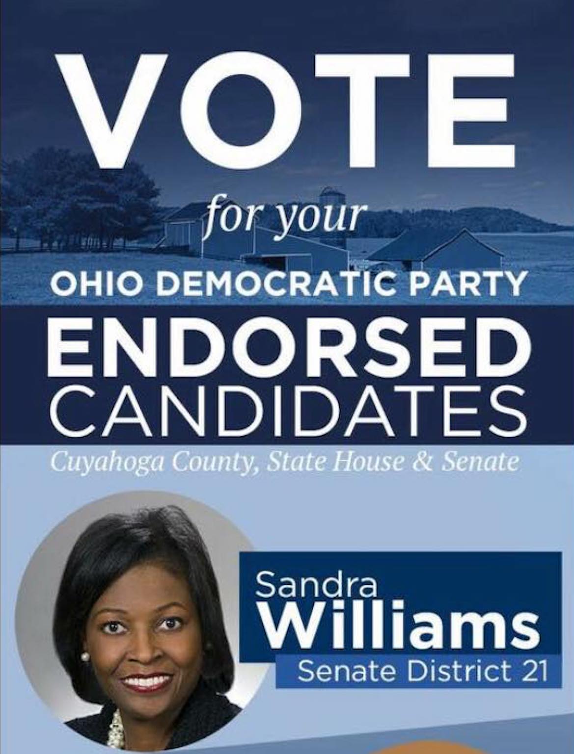 Sandra Williams, Willoughby Avenue, The Five Fifths, KOLUMN Magazine, KOLUMN, African American Politics, Blacks in Politics, Black Vote, Vote Black