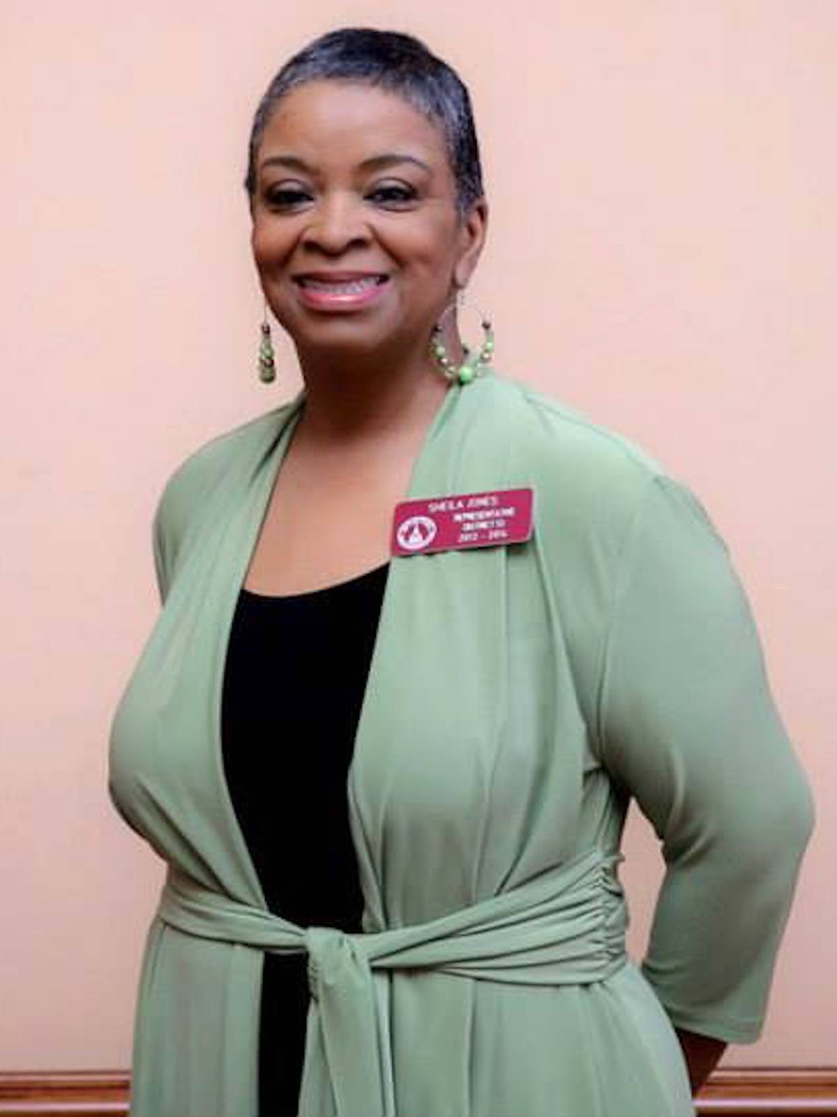 Sheila Jones, Willoughby Avenue, The Five Fifths, KOLUMN Magazine, KOLUMN, African American Politics, Black in Politics