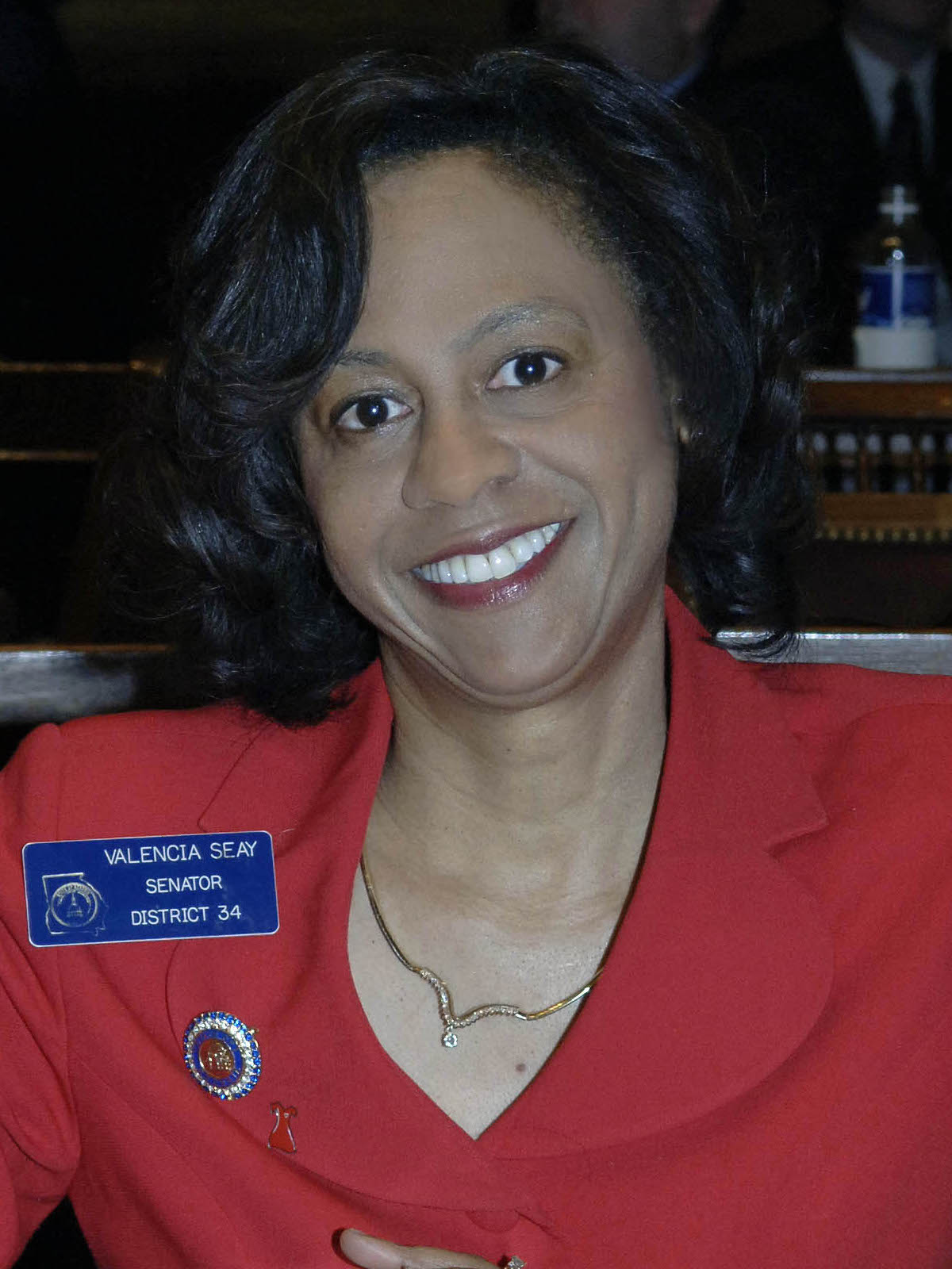 Valencia Seay, Willoughby Avenue, The Five Fifths, KOLUMN Magazine, KOLUMN, African American Politics, Black in Politics
